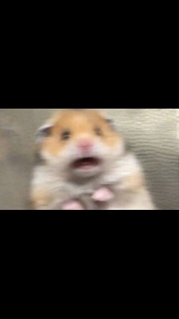 Woman Claims MAGA Woke The Beast, Promises Woke 2.0