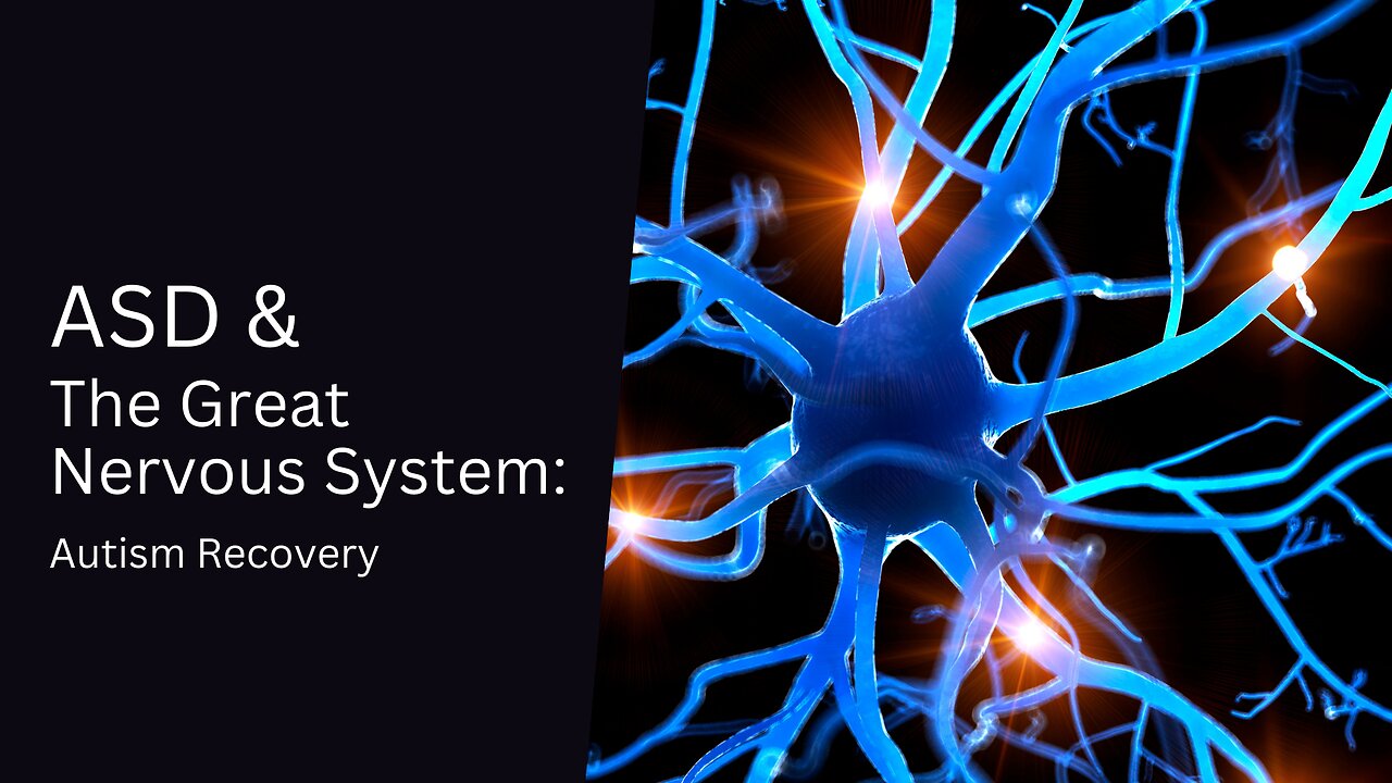 Autism Recovery & The Nervous System