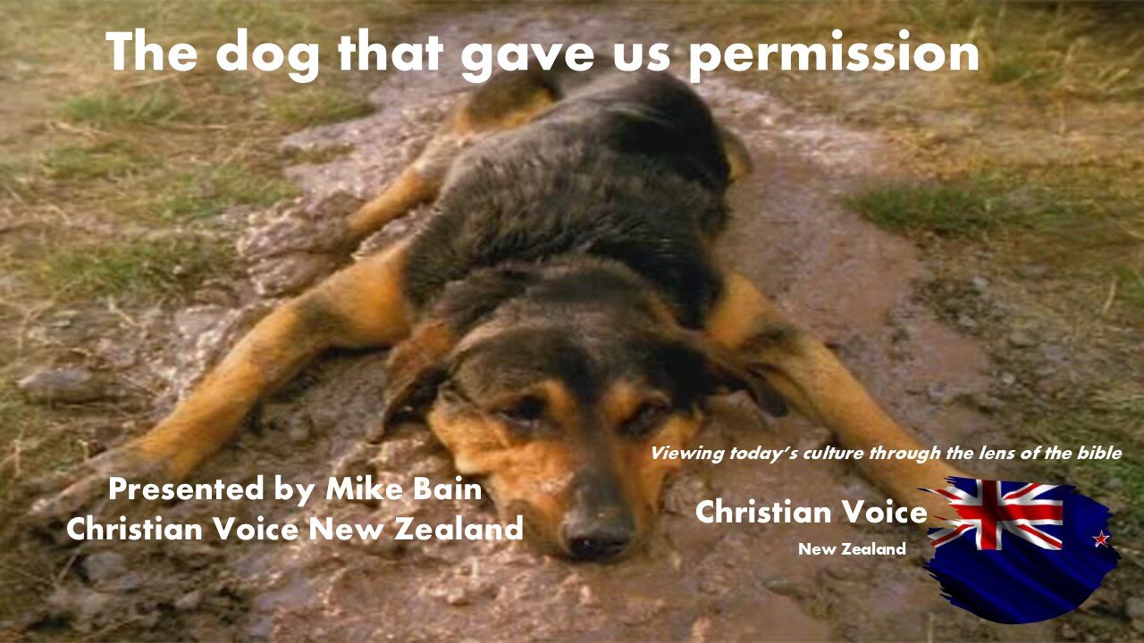 The dog that gave New Zealand permission