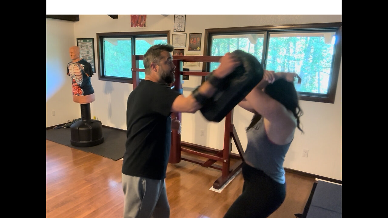 Crane and Cobra Close Combat