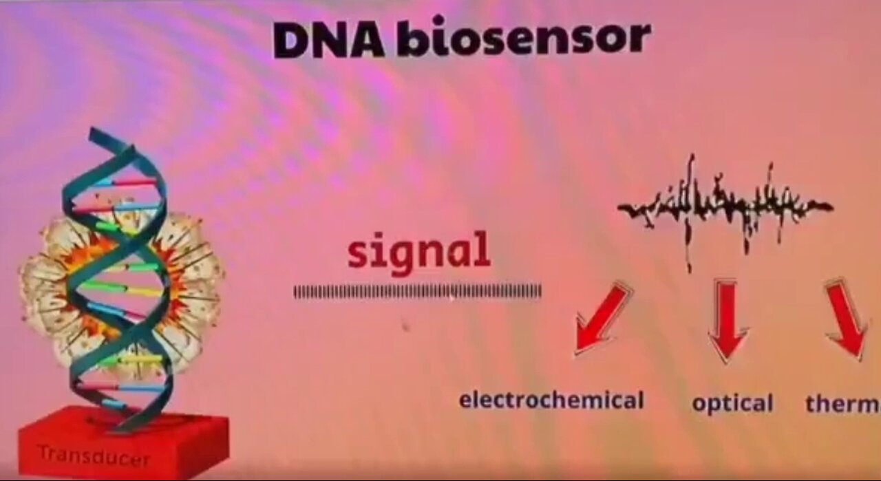 How to Find your BioSensors -SUBBED- by Sabrina Wallace