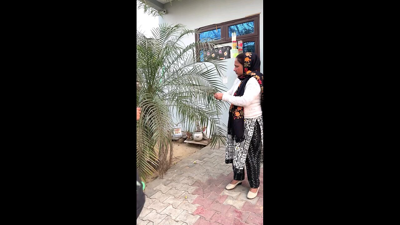 अंटी चीनी दे दो