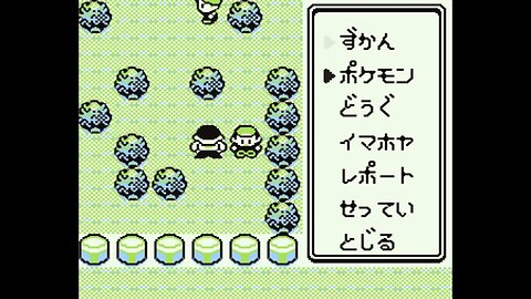 Pokémon Green - Playthrough/Videoprůvodce - 11 {JP}