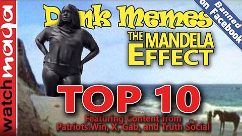 The Mandela Effect: TOP 10 MEMES
