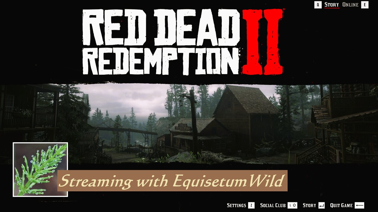 Equisetum Returns to Red Dead Part 8 - Clemens Point