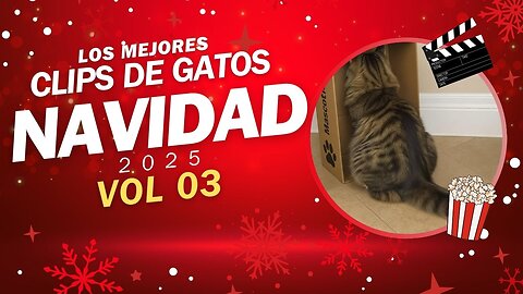 Lo mejor del 2025 Xmas VOL03