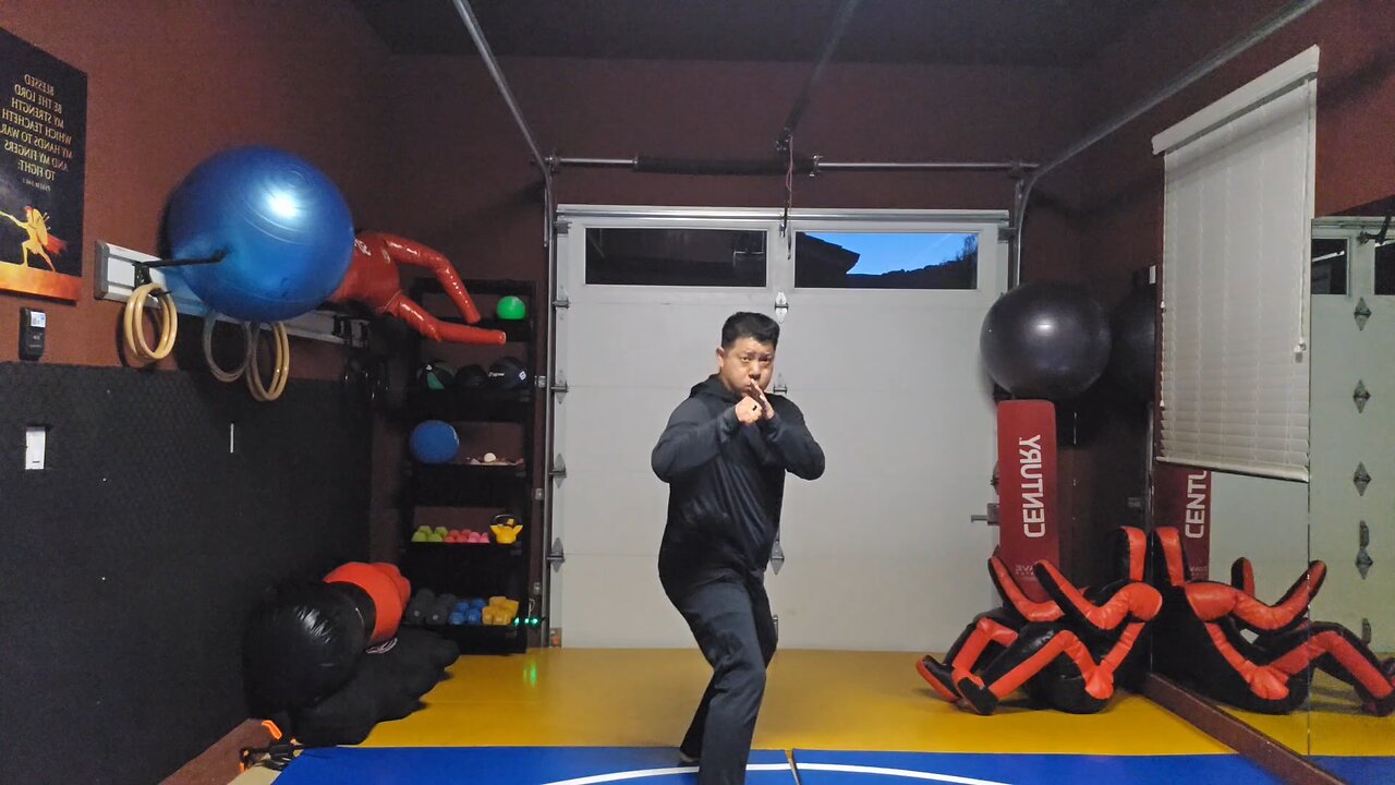 WTD 2 Step Kick Combination 98