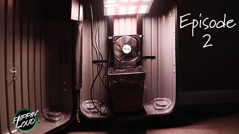 GROWING WEED IN A SUITCASE | Episode 2