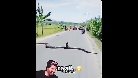 ​#Funny #Comedy #Laugh #Memes #Jokes