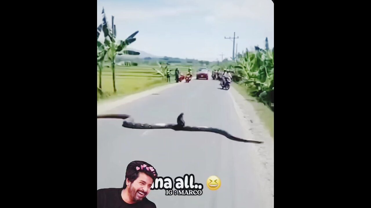 ​#Funny #Comedy #Laugh #Memes #Jokes