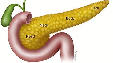 Healthy PANCREAS and Oranges