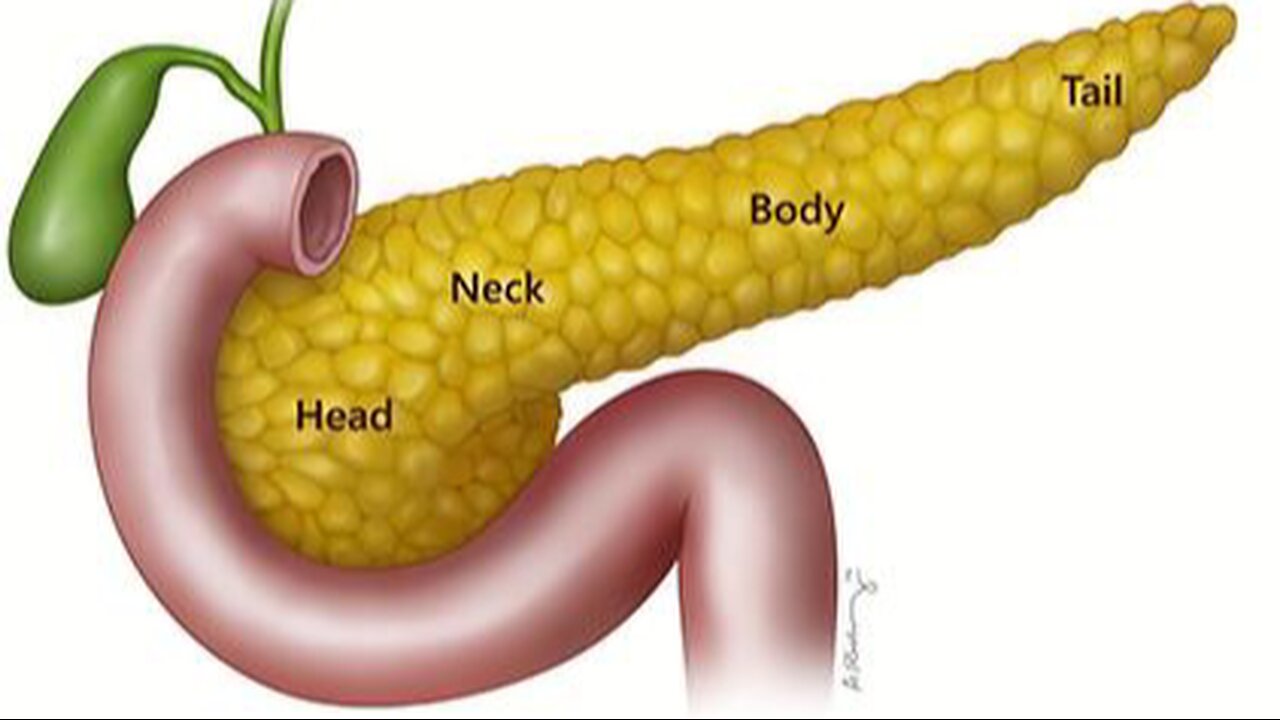 Healthy PANCREAS and Oranges