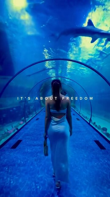 Never About Money! 💸