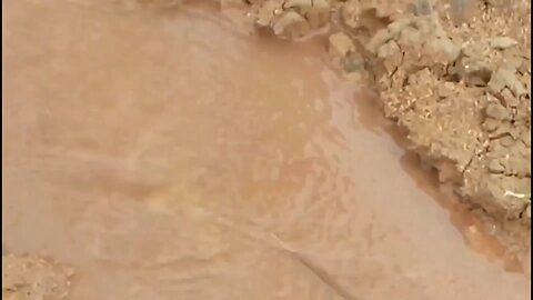 What's the SECRET to Building a MINIATURE DAM That Can Withstand MASSIVE River Flow?