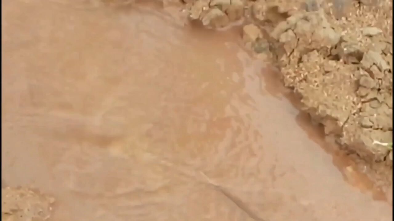 What's the SECRET to Building a MINIATURE DAM That Can Withstand MASSIVE River Flow?