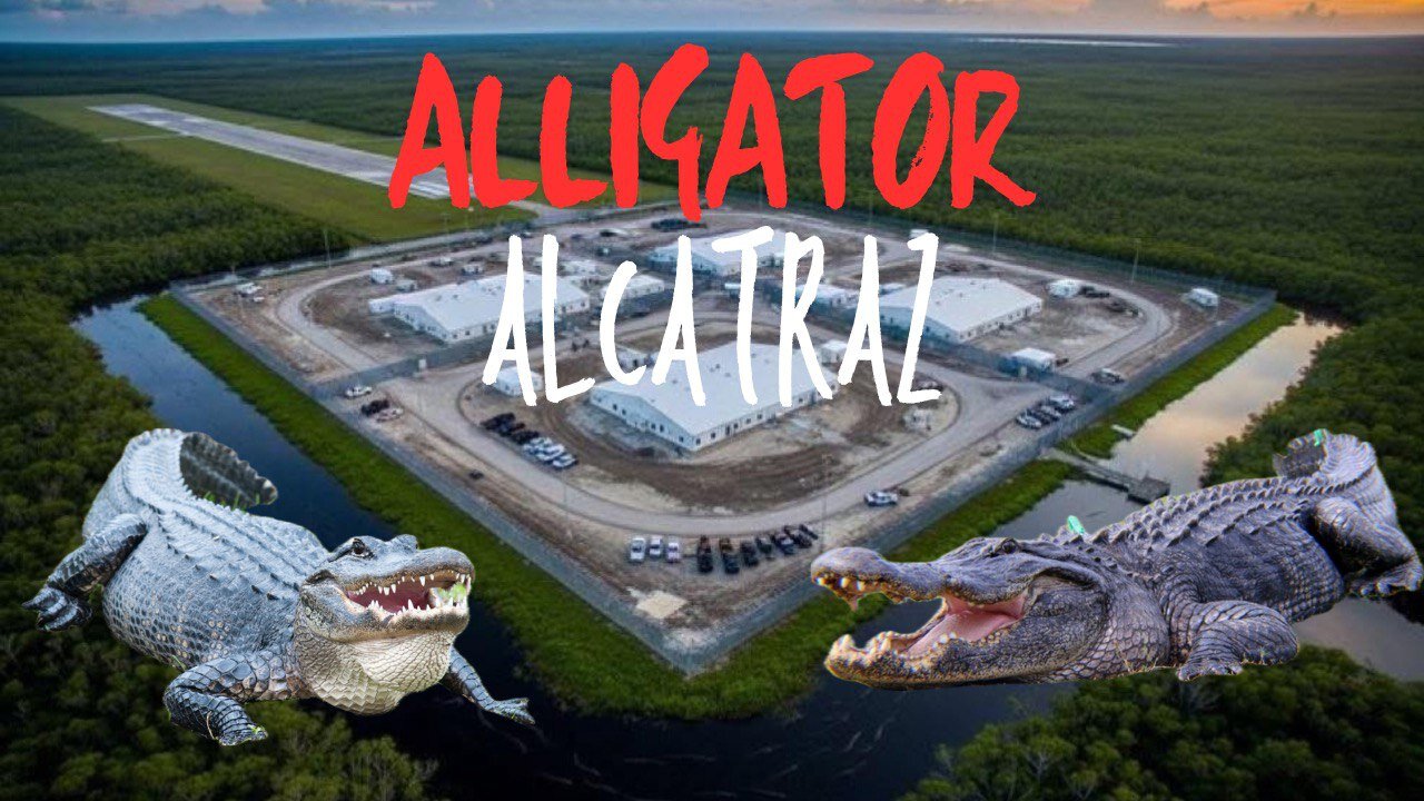 FAFO Alligator Alcatraz