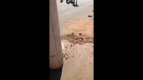 celular trânsito e bike