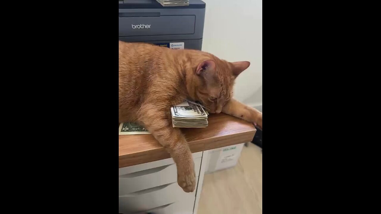 it’s mine