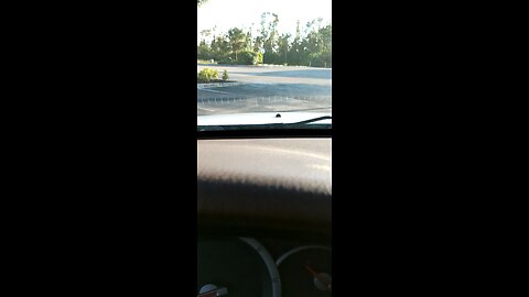 Part 2 of Sarasota cop video