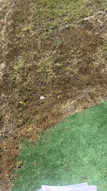 “Protect Our Children” Dismantle Pornography!!! Especially Child Porn ! 🤬🤮