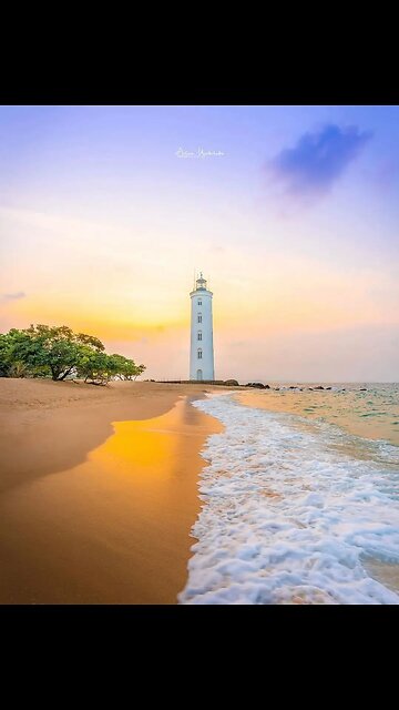 Discover the Beauty of Sri Lanka