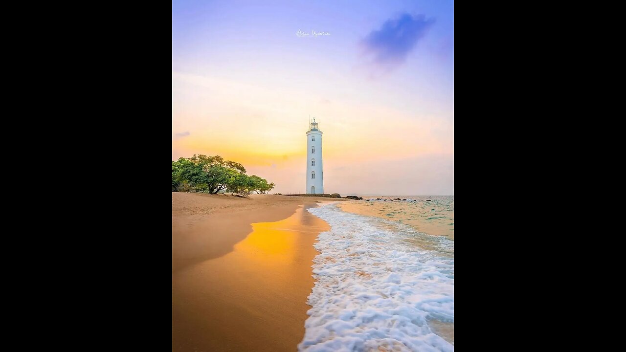 Discover the Beauty of Sri Lanka