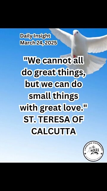 Daily Insight March 24, 2025