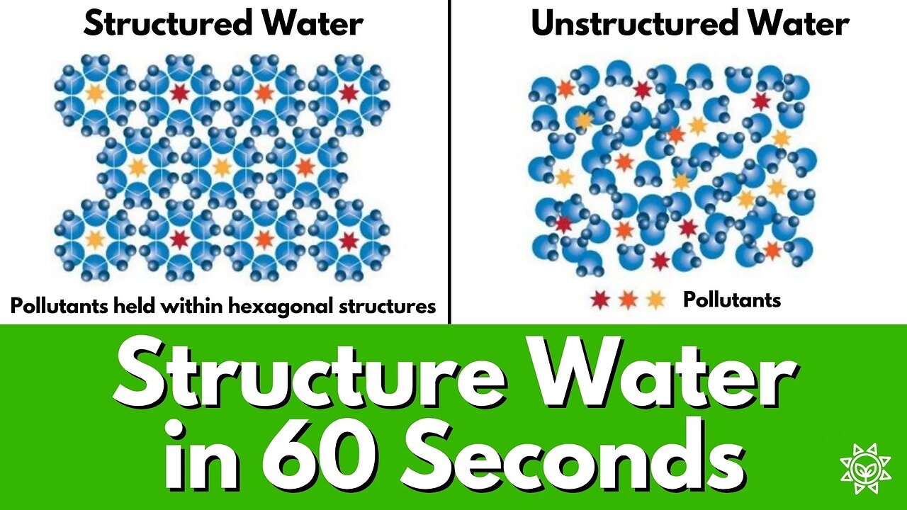 How to Structure your Water in 60 Seconds & Optimize Hydration?
