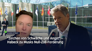 "Zeichen von Schwäche und Angst" – Habeck zu Musks Null-Zoll-Forderung