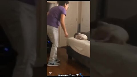 These Animals Just Won Comedy Gold!