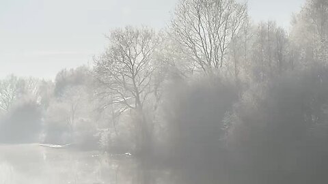 Hope deferred makes the heart sick, but a longing fulfilled is a tree of life