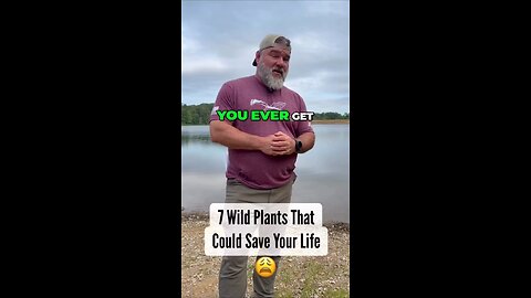 7 Wild Plants Survival