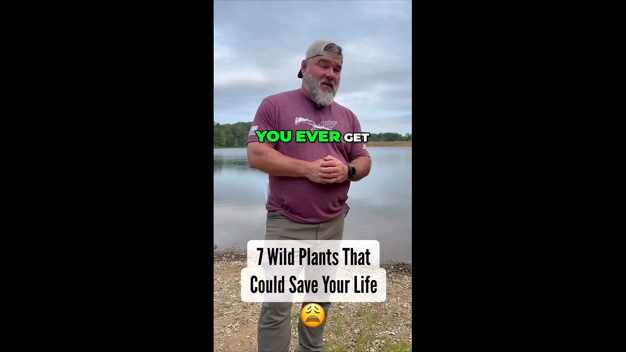 7 Wild Plants Survival