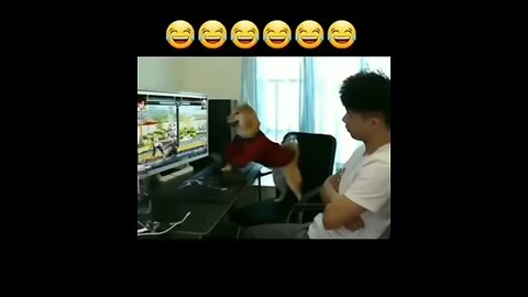 Mad Gamer Alert! #funny # #subscribed @petclub7958 #doglovers#educational #viralshort