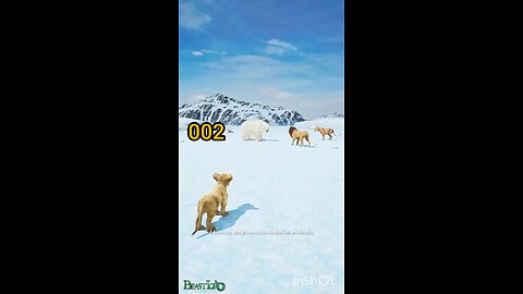 Ice land a lion family fight beart a lovely ßLast Videomini wood toly #shorts#facts #funny c