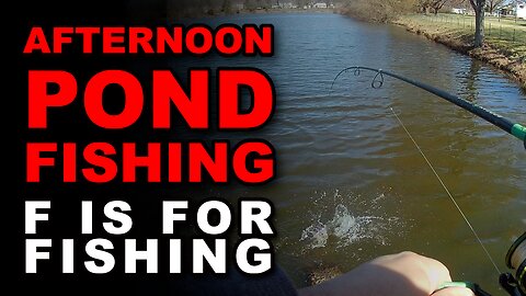 Afternoon Pond Fishing