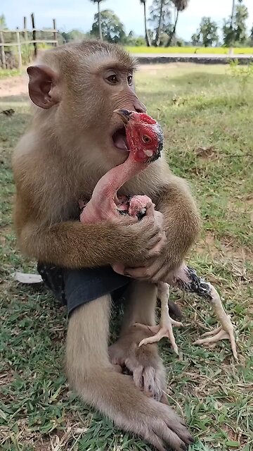 Best SokYaa, OG, Pao & Mom Are Famous Around The World #shorts #anime #trend #edit