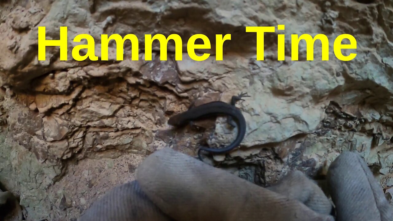 Hammer Time