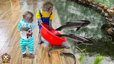 YiYi and YinYin react strangely when they see the fish mom catch in the field