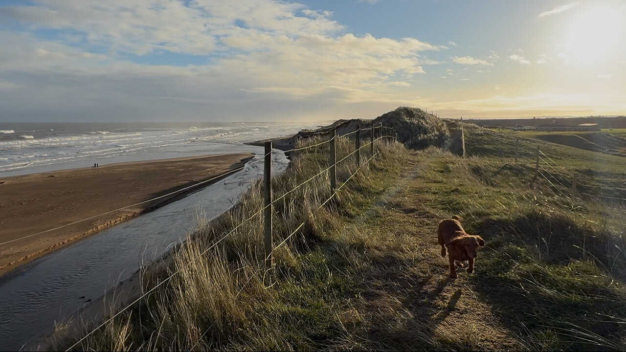 30/11/25 trail run with willow