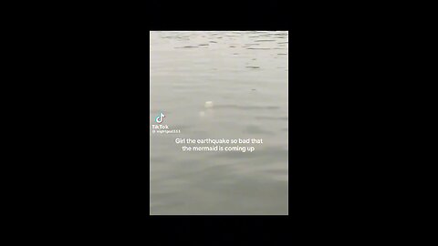 Now This Sea Creature?