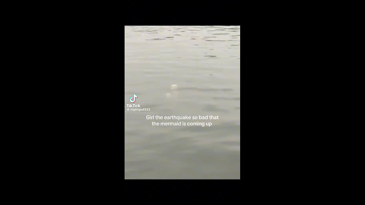 Now This Sea Creature?