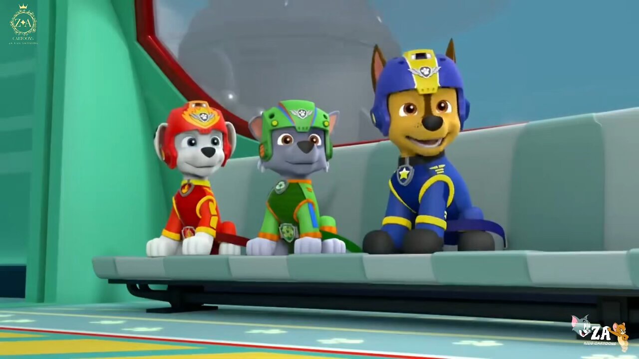 PAW Patrol Cartoons