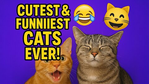 Cutest & Funniest Cats Ever! 😹 | Ultimate Silly Kitty Compilation