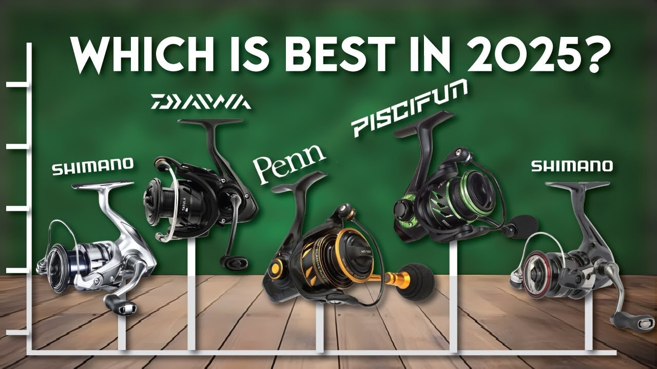 Top 5 BEST Spinning Reels 2025 For FISHING Success