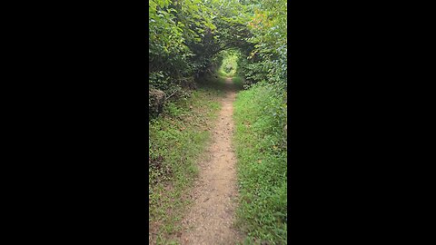 Green Tunnel