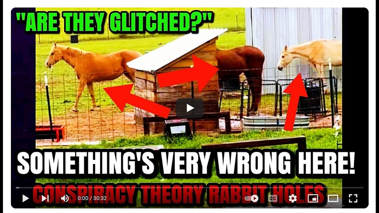 Creepy Videos, Strange and Odd News Stories I Just Cannot Explain! - Seconds Of Horror