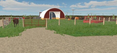 American Farming - buying beef cows