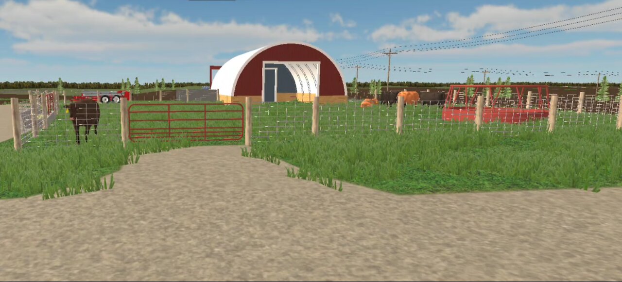 American Farming - buying beef cows
