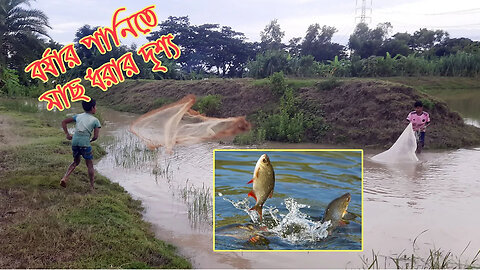 Unbelievable Flood Fishing in Feni, Bangladesh | Villagers Catch Huge Native Fish 2025